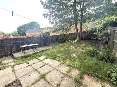 Picture 19